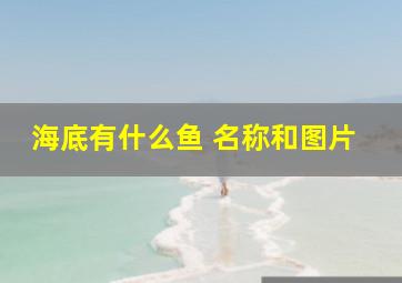 海底有什么鱼 名称和图片